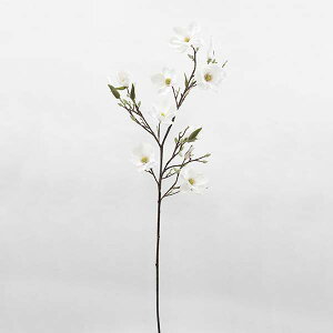  Ƃ悹i nNN N ؘ@ ؘ@ CeA CeAt[ tFCNt[ VNt[ CeAO[ tFCNO[ ԍ Ԏ