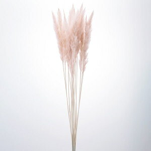 yP10{ 12/31܂ŁIz hCt[ ԍ o e[[hE~j sNx[W XbO   ԍ p[c ޗ ԑ u[P ppXn ݃J[  ӂӂ n