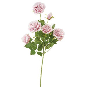 yP10{ 12/31܂ŁIz  Ƃ悹i XB[g[YXv[ [u CeA CeAt[ tFCNt[ VNt[ CeAO[ tFCNO[ ԍ f r