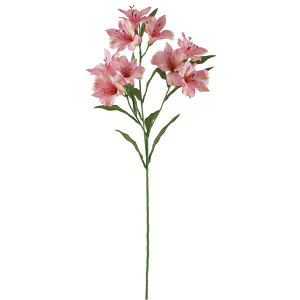 yP10{ }\z  Ƃ悹i AXgA zbgsN A[eBtBVt[  CeA CeAt[ tFCNt[ VNt[ O[ 