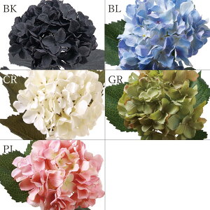  Ƃ悹i nChWXv[ nChWA AWTC z  ubN  CeA CeAt[ tFCNt[ VNt[ roH|