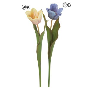 yP10{ 12/31܂ŁIz  Ƃ悹i Z~I[v`[bv `[bv T 񂱂 ERRE [ tulip OS ڂ  u[ CG[ F AXJ ASCA AXJ