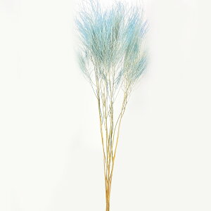 yP10{ 12/31܂ŁIz hCt[ ԍ o y40OFFz GPCOT u[ ԍ ޗ p[c F CeA A}bNXTVF W n[oE XbO u[P ԑ RT[W