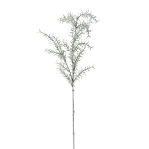 yP10{ 12/31܂ŁIz  O[ Ƃ悹i XvQ[ CeA CeAt[ tFCNt[ VNt[ CeAO[ tFCNO[ A[gt[ 