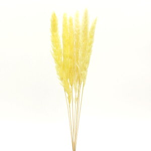 yP10{ 12/31܂ŁIz hCt[ ԍ o y40OFFz e[[h CG[ XbO  ԍ p[c ޗ ԑ u[P ppXn  fBXvC AXJ ASCA AXJ