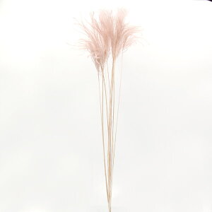 yP10{ 12/31܂ŁIz hCt[ ԍ o ~jXXL sNx[W XbO  ԍ p[c ޗ ԑ u[P ppXn ݃J[  fBXvC   n