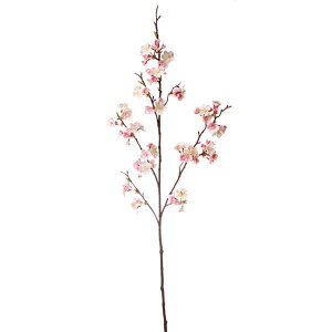 yP10{ }\z  Ƃ悹i II}UN(L106)  `F[ubT CeA CeAt[ tFCNt[ VNt[ CeAO[ ԍ Ԏ