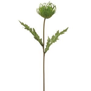 yP10{ 12/31܂ŁIz  Ƃ悹i sNbV O[ CeA CeAt[ tFCNt[ VNt[ CeAO[ tFCNO[ A[gt[ r