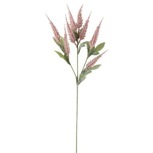  Ƃ悹i AX`xXv[ sN A[eBtBVt[  CeA CeAt[ tFCNt[ VNt[ tFCNO[ roH|