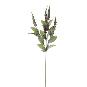  Ƃ悹i AX`xXv[ p[v A[eBtBVt[  CeA CeAt[ tFCNt[ VNt[ O[ ԍ roH|