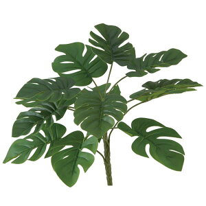 yP10{ 12/31܂ŁIz  O[ Ƃ悹i XeubV ϗt 썑 gsJ 傫 CeA tFCN O[ p[c CeAt[ tFCNt[ ԍ f r