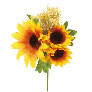  ԑ Ƃ悹i Tt[MIXsbN Ђ܂ q}  Ԋ  CeA CeAt[ tFCNt[ VNt[ ԍ Ԏ roH|