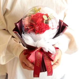 ő50~OFFN[|IubNtCf[ \[vt[ v[g o o[u[P a j ̂܂܏ av[g ԑ Ђ܂   Mtg IV