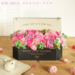 y|Cg3{I15Iz \[vt[ v[g o \[vt[ {bNX AW a j ̂܂܏ av[g {bNX   Mtg IV 