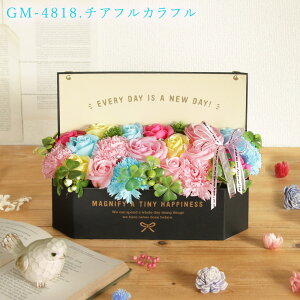 yP3{ 5z \[vt[ v[g o \[vt[ {bNX AW a j ̂܂܏ av[g {bNX   Mtg IV ސEj 