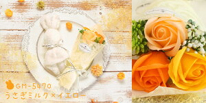 yP3{ 5z \[vt[ v[g o \[vt[ ~ju[P ܃^I Zbg a av[g N}  ԑ  ^I \ \[vt[