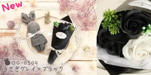 y|Cg3{I25Iz \[vt[ v[g o \[vt[ ~ju[P ܃^I Zbg a av[g N}  ԑ  ^I \ \[v