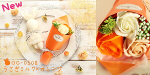 \[vt[ v[g o \[vt[ ~ju[P ܃^I Zbg a av[g N}  ԑ  ^I \ \[vt[ԑ