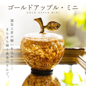 CeA IuWF o S[hAbv ~j ̂  ~j ~jTCY ҂ ^ ̗ь N^  u IuWF f 炫 