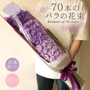 y|Cg3{I25Iz \[vt[ v[g o 70{̃ỏԑ Ê ËH j hV̓ a 70 70 ԑ Mtg  傫 傫 rbO    