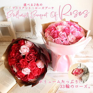 \[vt[ v[g o uAg[Yu[P 傫 33 傫 rbO   a j ̂܂܏ av[g ԑ { S[WX o Mtg I