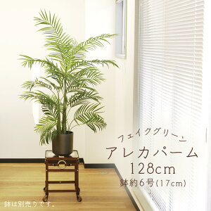 tFCNO[ ϗtA Ƃ悹i y[J[iz AJp[|bg 128cmssEiƂ̓st ϗtA 1.2m lHϗt t AXJ ASCA AXJ