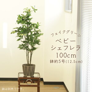 yP10{ 12/31܂ŁIz tFCNO[ ϗtA Ƃ悹i y[J[iz xr[VFt|bg 100cmssEiƂ̓st ϗtA 1m lHϗt AXJ ASCA AXJ