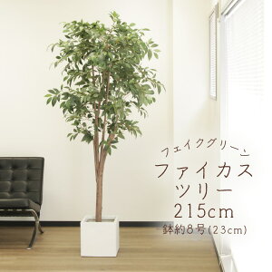 yP10{ z tFCNO[ ϗtA Ƃ悹i y[J[iz t@CJXc[ (|bgt) 215cmssEiƂ̓st ϗtA 2m ^ AXJ ASCA AXJ