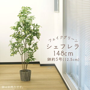 yP10{ z tFCNO[ ϗtA Ƃ悹i y[J[iz VFt|bg 148cmssEiƂ̓st ϗtA 1.5m ^ lHϗt AXJ ASCA AXJ