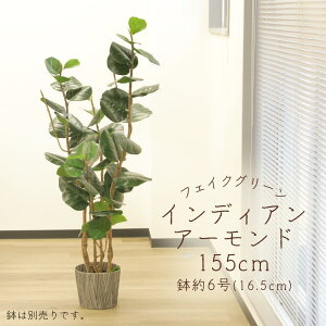 yP10{ 12/31܂ŁIz tFCNO[ ϗtA Ƃ悹i y[J[zCfBAA[h(|bgt)146cmssEiƂ̓st ϗtA 1.4m t AXJ ASCA AXJ