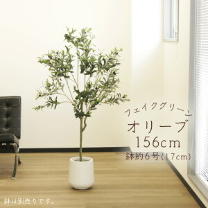 yP10{ 12/31܂ŁIz tFCNO[ ϗtA Ƃ悹i y[J[zI[u(|bgt)156cmssEiƂ̓st ϗtA 1.5m ^  t AXJ ASCA AXJ