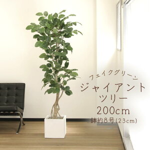 tFCNO[ ϗtA Ƃ悹i y[J[zWCAgc[(|bgt)200cmssEiƂ̓st ϗtA 2.0m ^ AXJ ASCA AXJ