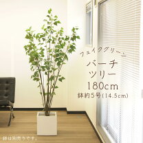 楽天市場】フェイクグリーン 大型 白樺の通販