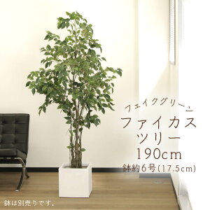 yP10{ z tFCNO[ ϗtA Ƃ悹i y[J[zt@CJXc[(|bgt) 190cmssEiƂ̓st ϗtA 1.9m ^ t AXJ ASCA AXJ