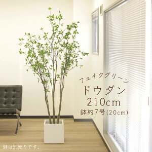 tFCNO[ ϗtA Ƃ悹i y[J[zhE_(|bgt) 210cmssEiƂ̓st ϗtA 2m ^  t AXJ ASCA AXJ