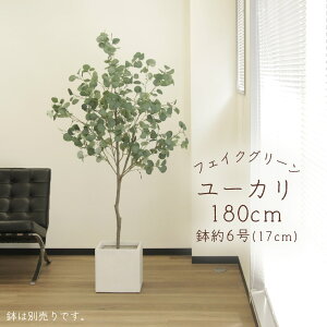 yP10{ z tFCNO[ ϗtA Ƃ悹i y[J[z[J(|bgt)180cmssEiƂ̓st ϗtA 1.8m ^  t AXJ ASCA AXJ