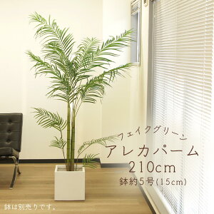 tFCNO[ ϗtA Ƃ悹i y[J[izAJp[(|bgt) 210cmsρEiƓst ϗtA 2m ^ lHϗt AXJ ASCA AXJ