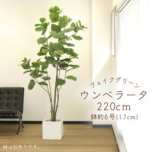 tFCNO[ ϗtA Ƃ悹i y[J[izEx[^(|bgt) 220cmsρEiƓst ϗtA 2.2m ^  AXJ ASCA AXJ