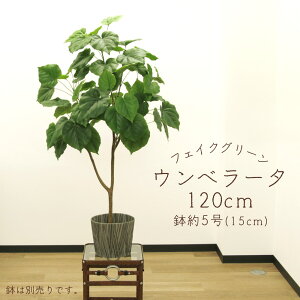 tFCNO[ ϗtA Ƃ悹i y[J[izEx[^(|bgt) 120cmsρEiƓst ϗtA 1.2m  t AXJ ASCA AXJ