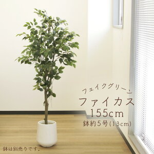 yP10{ 12/31܂ŁIz tFCNO[ ϗtA Ƃ悹i y[J[izt@CJX(|bgt) 155cmsρEiƓst ϗtA 1.5m ^  AXJ ASCA AXJ