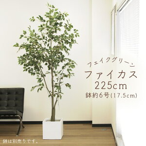 yP10{ z tFCNO[ ϗtA Ƃ悹i y[J[izt@CJX(|bgt) 225cmsρEiƓst ϗtA 2m ^  AXJ ASCA AXJ