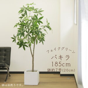 yP10{ 12/31܂ŁIz tFCNO[ ϗtA Ƃ悹i y[J[izpL(|bgt) 185cmsρEiƓst ϗtA 1.8m ^  t AXJ ASCA AXJ