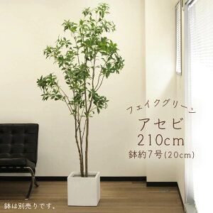 tFCNO[ ϗtA Ƃ悹i y[J[izAZr(|bgt) 210cmsρEiƓst ϗtA 2m ^   AXJ ASCA AXJ