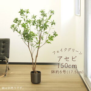 yP10{ 12/31܂ŁIz tFCNO[ ϗtA Ƃ悹i y[J[z AZr(|bgt) 150cm ssEiƂ̓st ϗtA 1.5m ^  AXJ ASCA AXJ