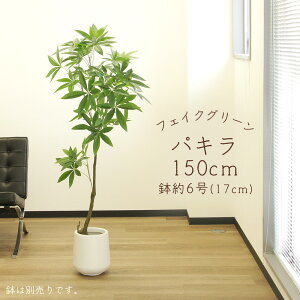 yP10{ 12/31܂ŁIz tFCNO[ ϗtA Ƃ悹i y[J[z pL(|bgt) 150cm ssEiƂ̓st ϗtA 1.5m ^  AXJ ASCA AXJ