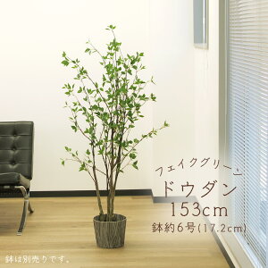 yP10{ 12/31܂ŁIz tFCNO[ ϗtA Ƃ悹i y[J[z hE_(|bgt) 153cm ssEiƂ̓st ϗtA 1.5m ^  AXJ ASCA AXJ