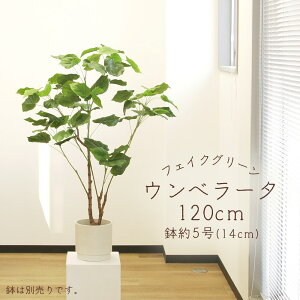 tFCNO[ ϗtA Ƃ悹i y[J[izEx[^(|bgt)sρEiƓst ϗtA 1.2m 120cm ^  AXJ ASCA AXJ