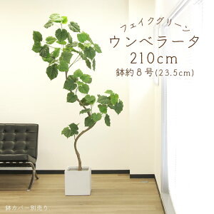 yP10{ z tFCNO[ ϗtA Ƃ悹i y[J[izEx[^(|bgt)sρEiƓst ϗtA 2m 210cm ^  AXJ ASCA AXJ