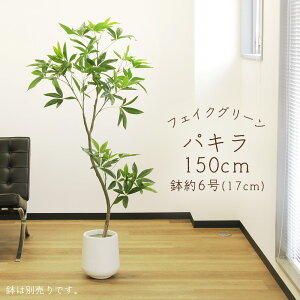 yP10{ 12/31܂ŁIz tFCNO[ ϗtA Ƃ悹i y[J[izpL(|bgt)sρEiƓst ϗtA 1.5m 150cm ^  t AXJ ASCA AXJ