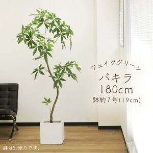 tFCNO[ ϗtA Ƃ悹i y[J[izpL(|bgt)sρEiƓst ϗtA 1.8m 180cm ^  t AXJ ASCA AXJ